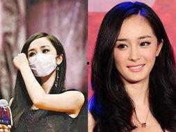 新红楼杨幂爆料视频播放,独家爆料幕后花絮与精彩瞬间