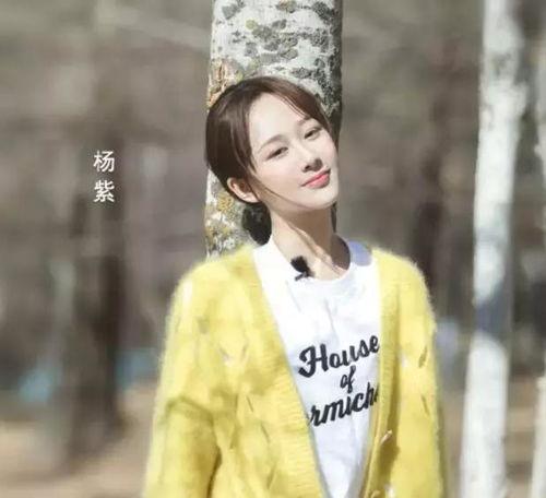 娱乐圈爆料客杨紫,娱乐圈爆料客的蜕变之路  第3张