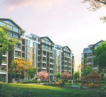 江油二手房爆料信息最新,最新爆料揭示价格走势与热门房源 第2张 江油二手房爆料信息最新,最新爆料揭示价格走势与热门房源 第2张