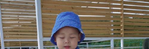 爆料小橙子爸爸视频大全,视频大全背后的温馨故事