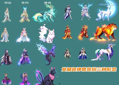 龙袍模型改版爆料视频下载 第3张 龙袍模型改版爆料视频下载 第3张